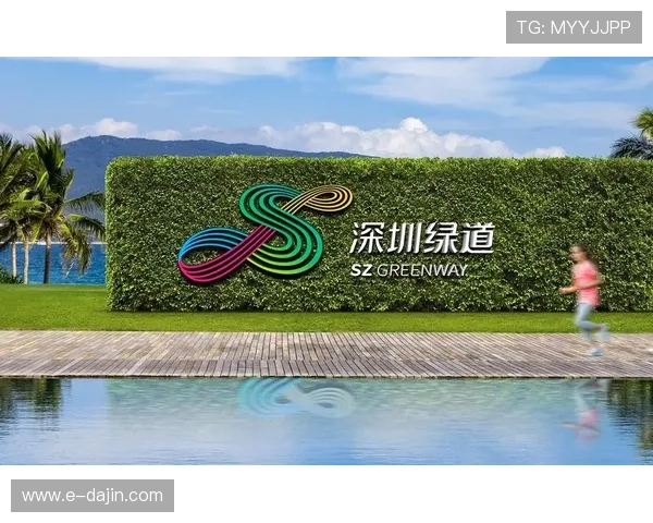 成都攀岩队区域防守创新之路探索与实践分析